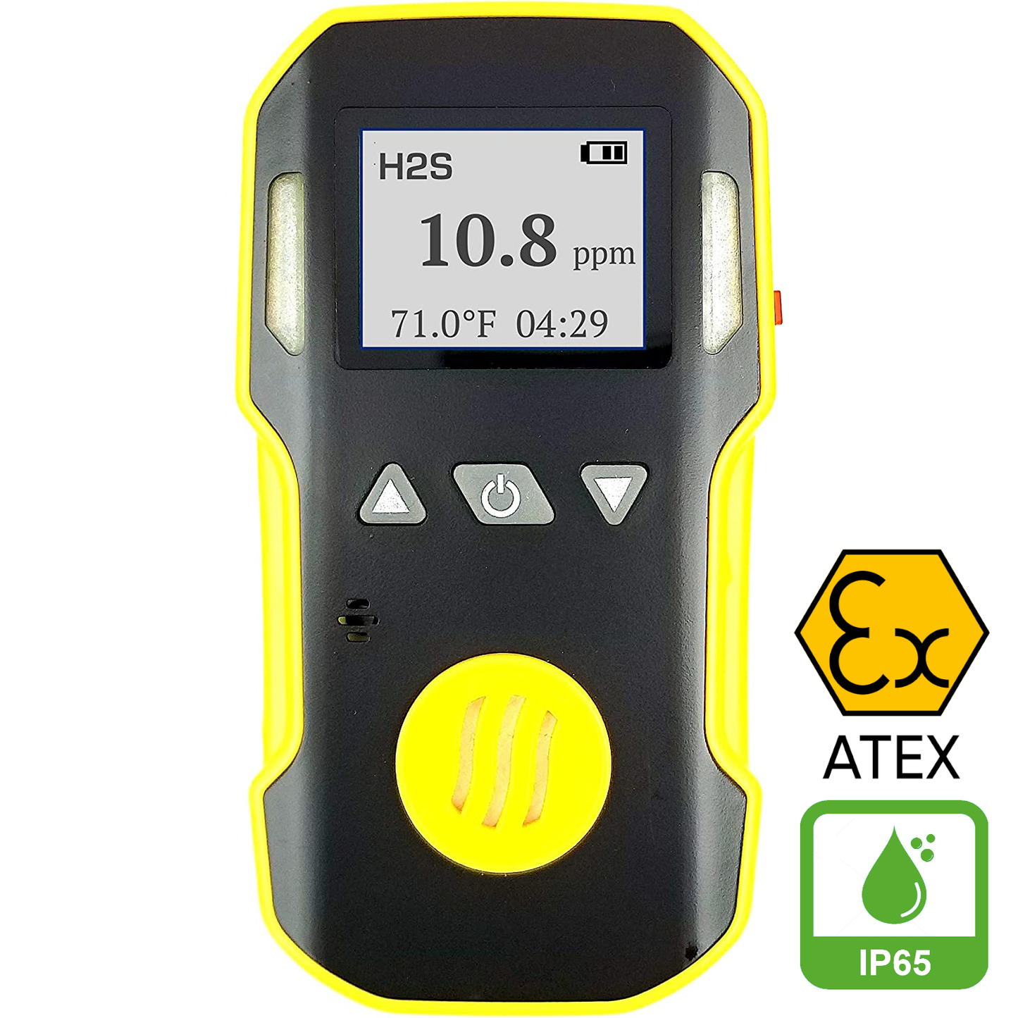 Rilevatore Mono Gas H2S ATEX | PROLINE 0330001